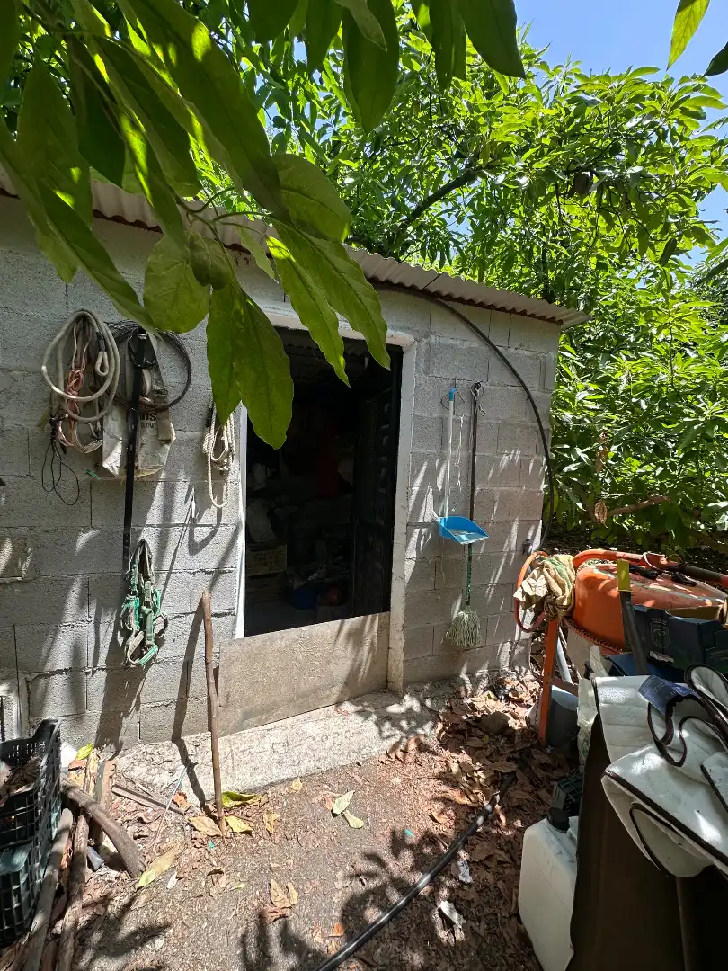 Vista exterior de Finca rústica en venda en Benamargosa amb Aire condicionat, Jardí privat i Terrassa