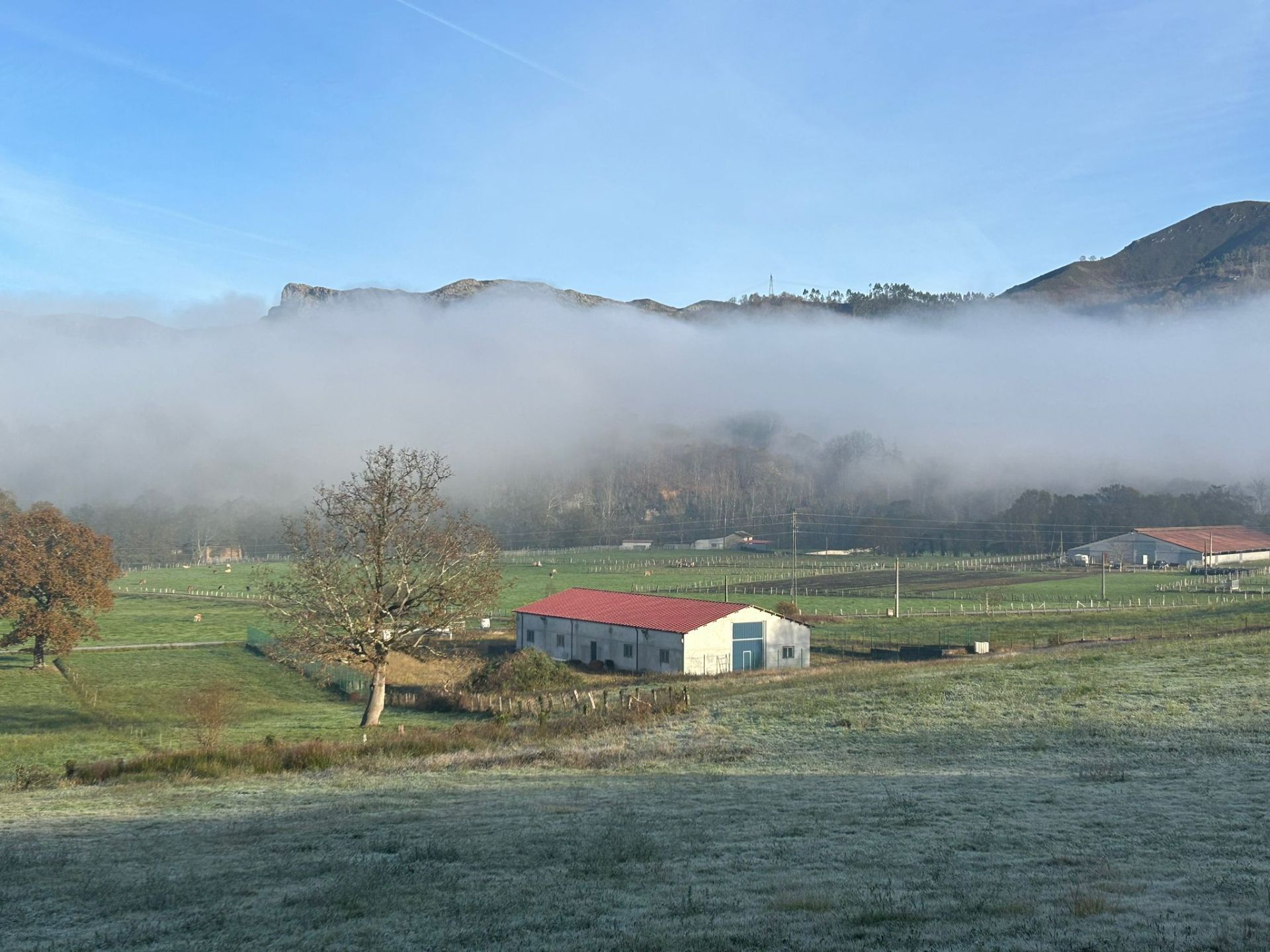 Vista exterior de Nau industrial en venda en Cangas de Onís