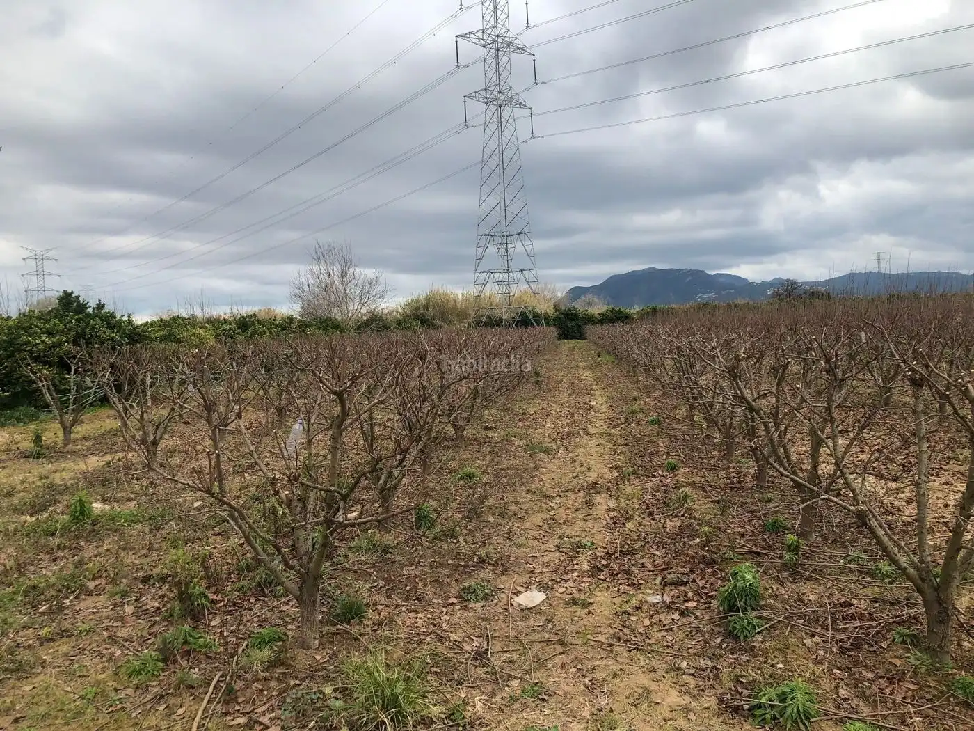 Terreno residenziale in vendita a Ronda d'Alzira 52, imagen 5