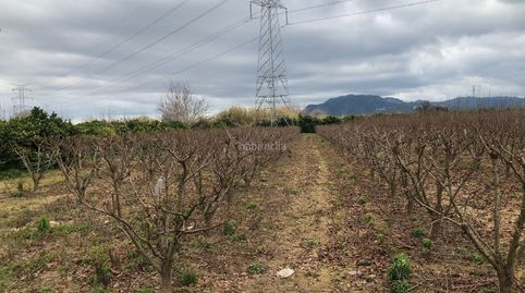 Campo agrícola de 11,634 metros cuadrados, immagine 5