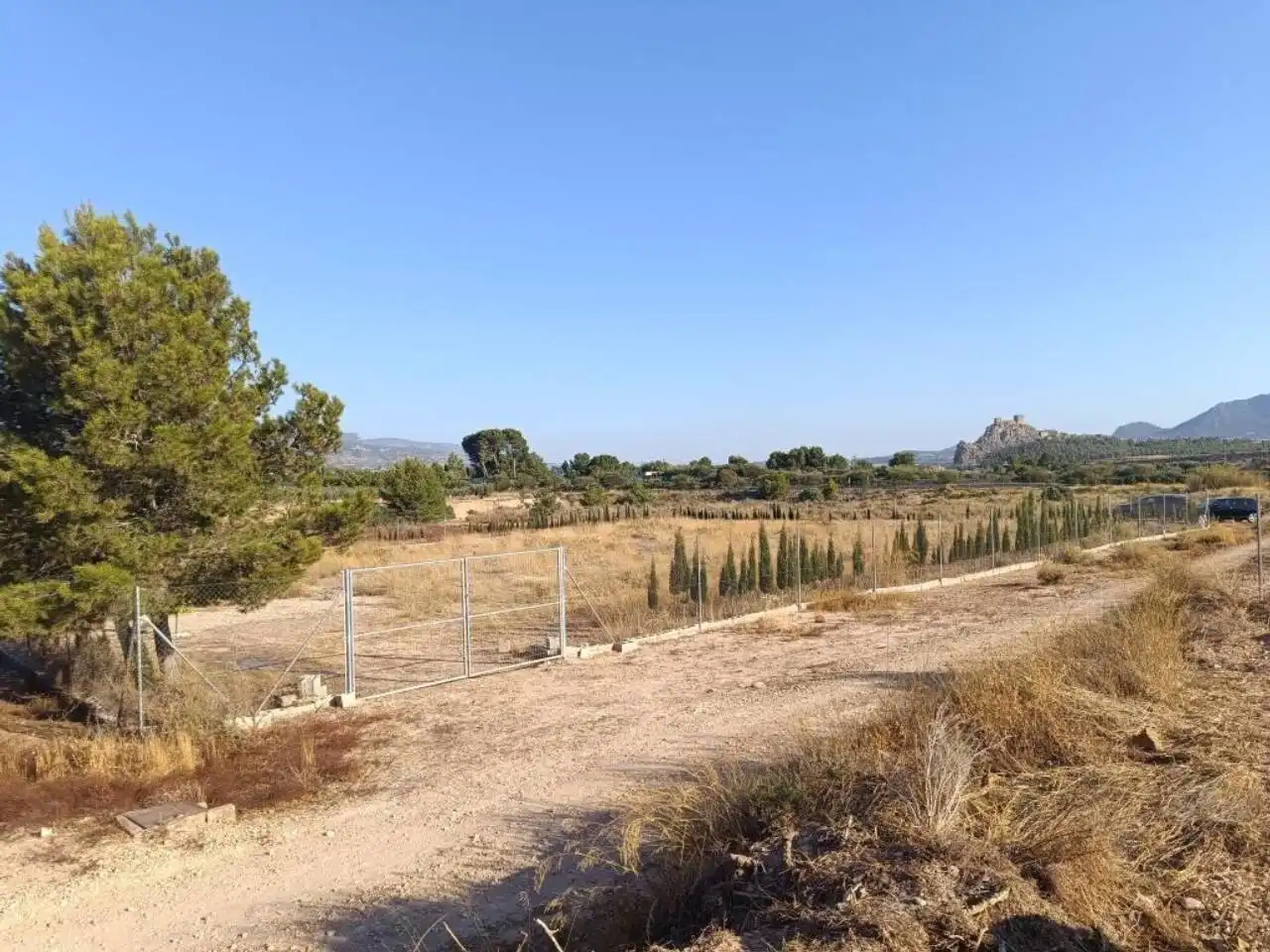 Residential land for sale in Sax, imagen 8