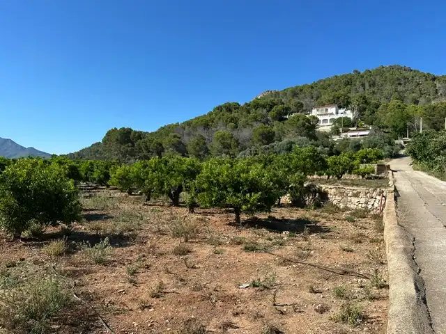 Terrain rustique à vendre à Partida Blanquisal, imagen 17