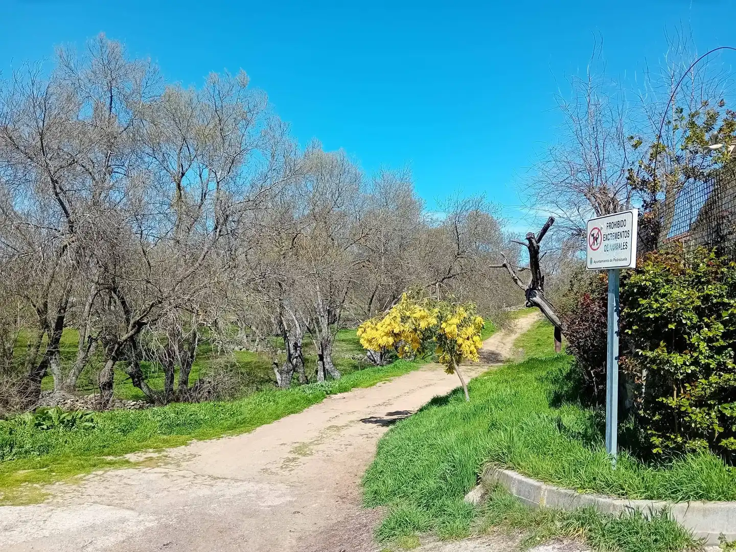 Casa a schiera in vendita a Pedrezuela, imagen 46