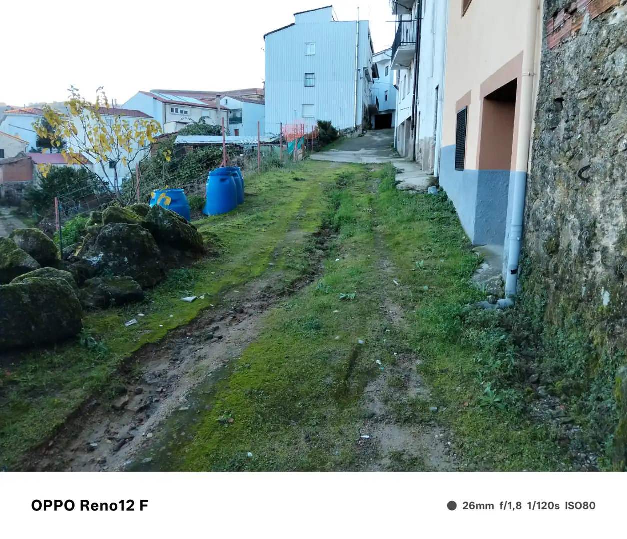 Finca rústica en venda en Casas del Castañar