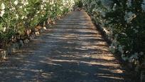 Exterior view of Country house for sale in Pollença  with Air Conditioner, Heating and Private garden
