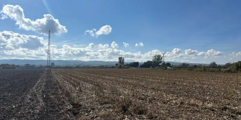 Terreny rústic en venda a Polígono Polígono, imagen 7