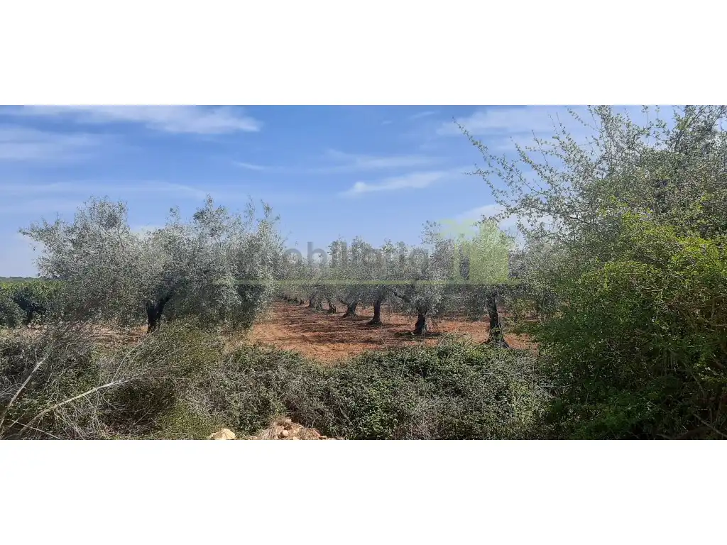 Terreno residencial en venta en Pueblo, imagen 11