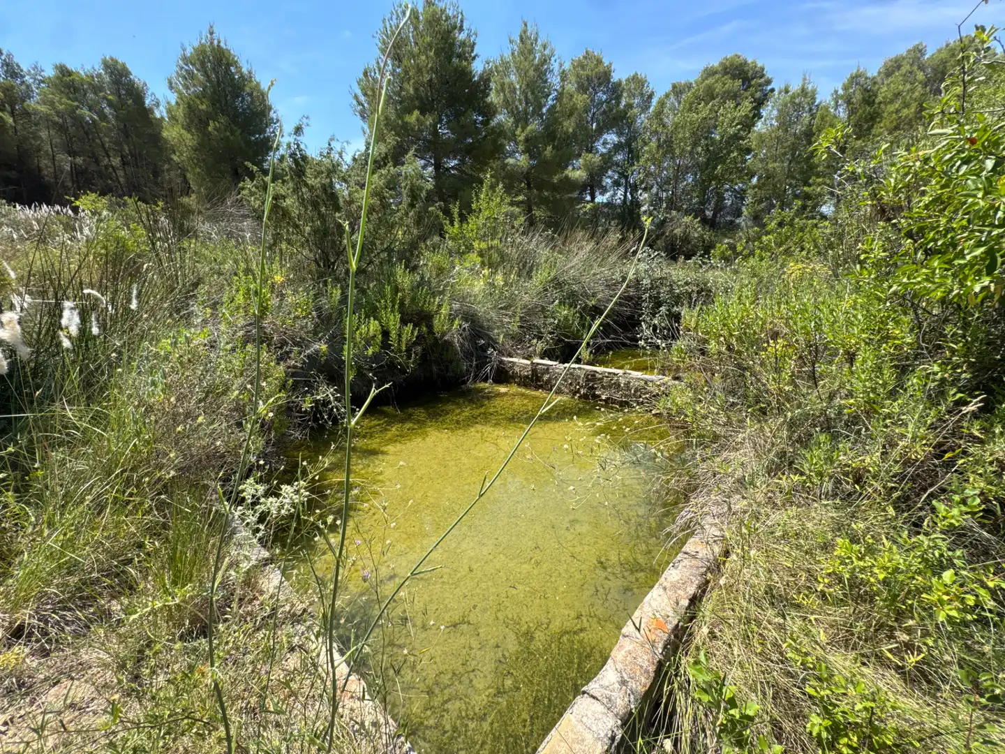 Rural land for sale in N/A, imagen 53