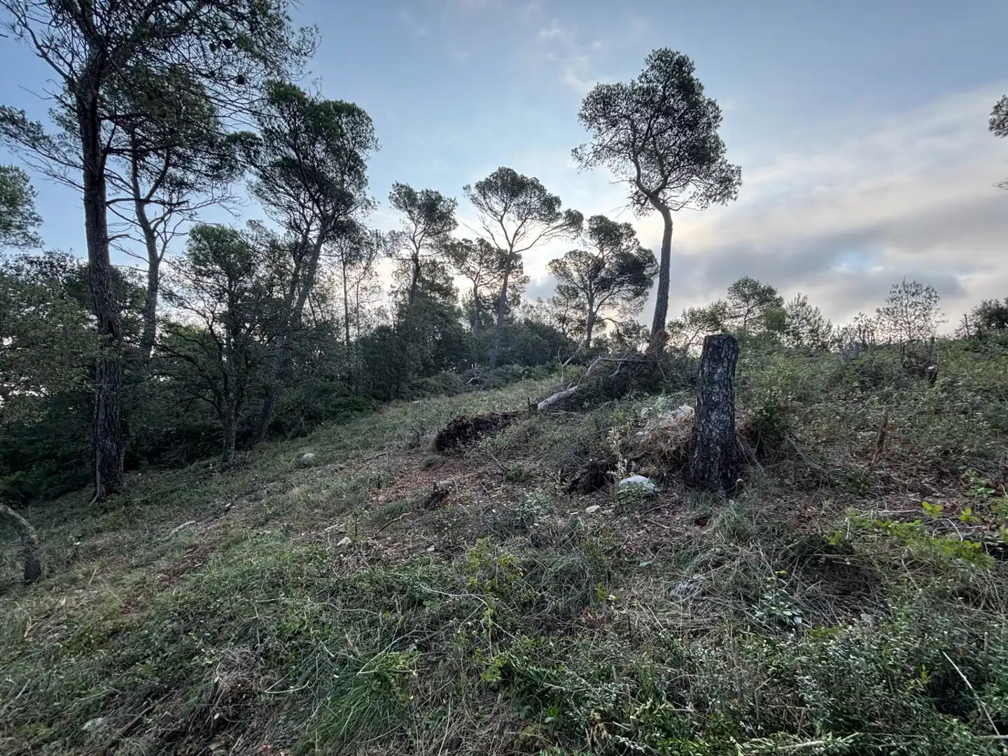 Residential land for sale in Carrer Pasarell, imagen 10
