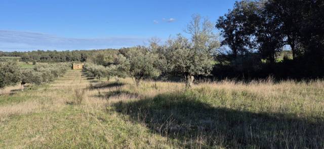 Terreno residencial en Venta en Ullastret