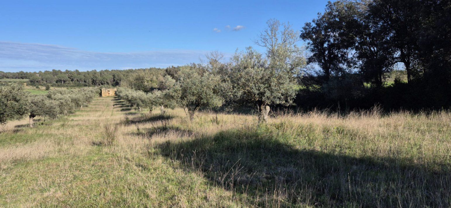 Residencial en venda en Ullastret