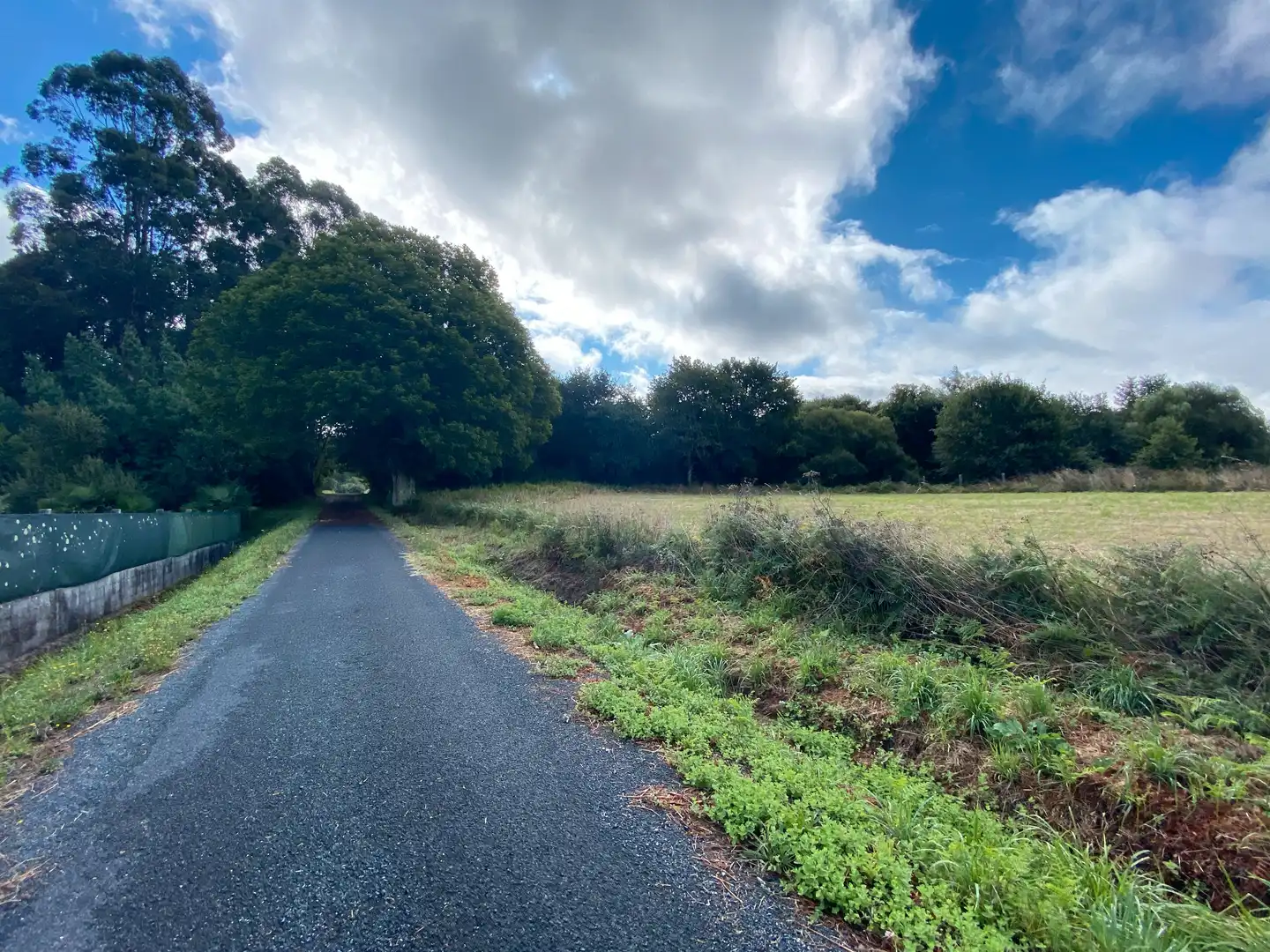 Terrains et parcelles à vendre à Teo
