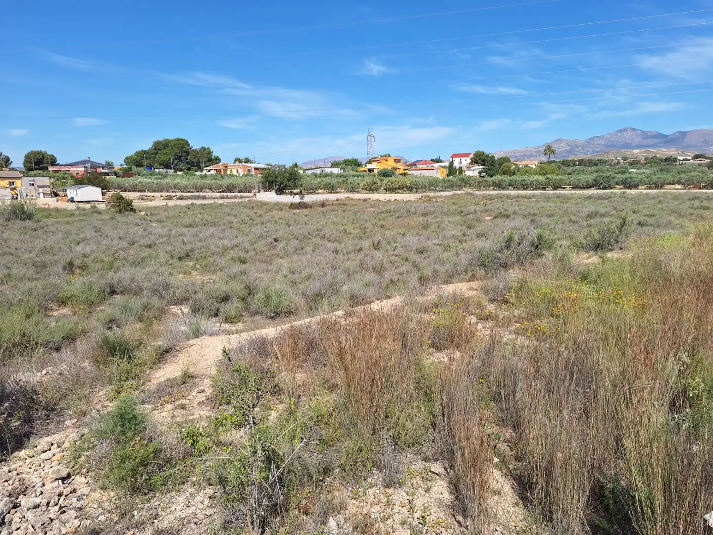 Rural land for sale in Los Girasoles, imagen 4