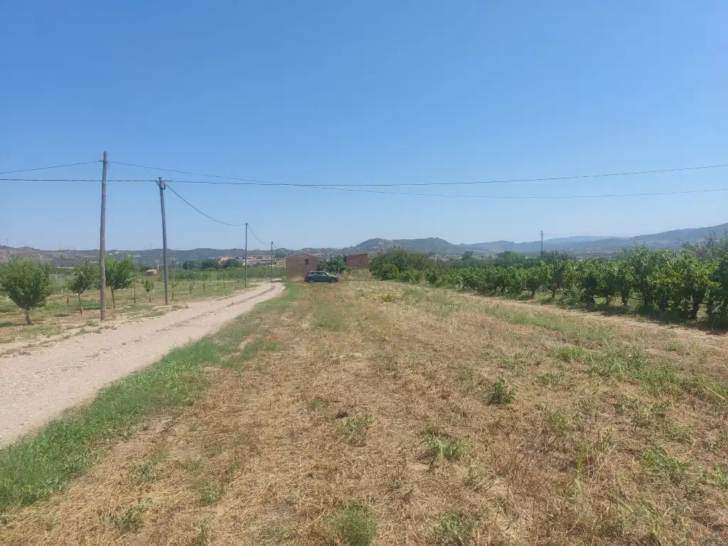 Rural land for sale in Ascó, imagen 10