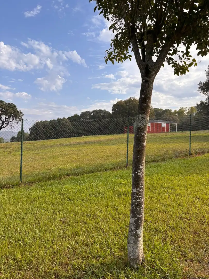 Rural land for sale in Erandio, imagen 8