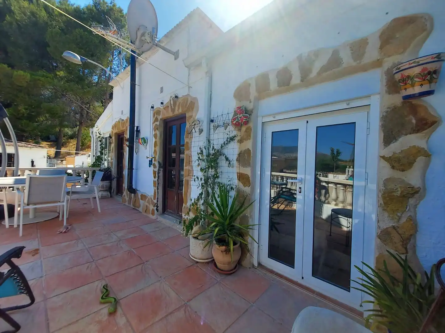 Exterior view of Country homes for sale in Cieza  with Private garden and Swimming Pool