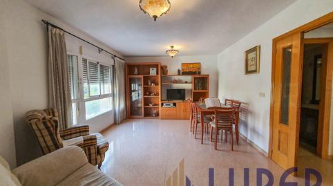 Photo 2 of Flat to share in Centro, Alicante