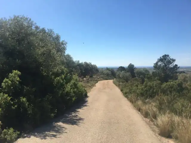 Rural land for sale in Pt Sinyoles o Carxols, imagen 11