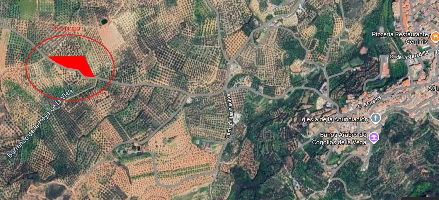 Terreni e lotti in vendita a Cogollos de la Vega, imagen 5