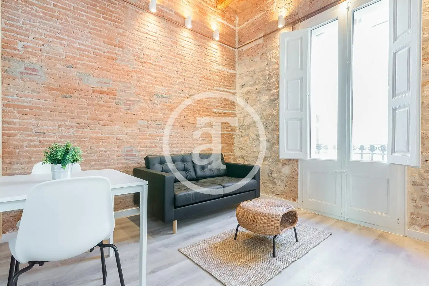 Sala d'estar de Pis de lloguer en Barcelona amb Calefacció, Moblat i Rentadora