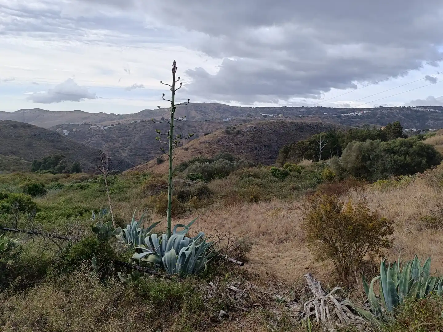 Land for sale in Las Palmas de Gran Canaria