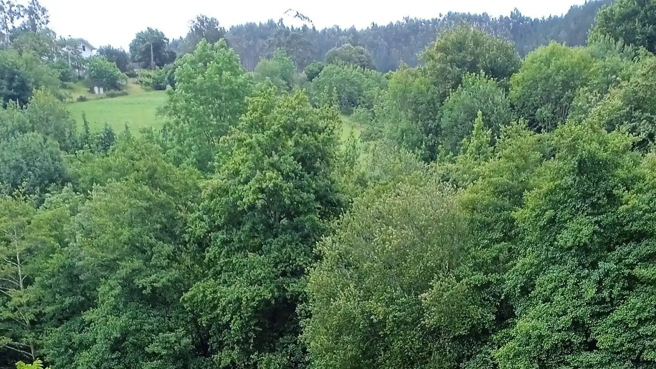 Residencial en venda en Gizaburuaga