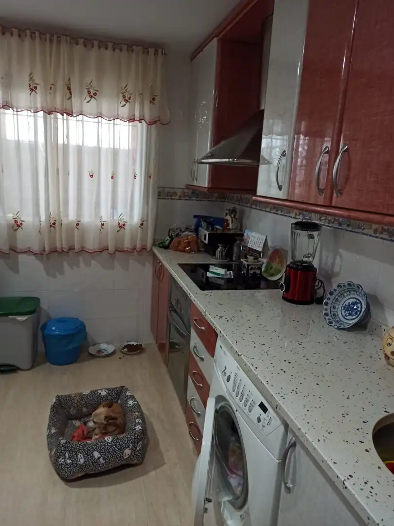 Casa o chalet en venta en Yuncler