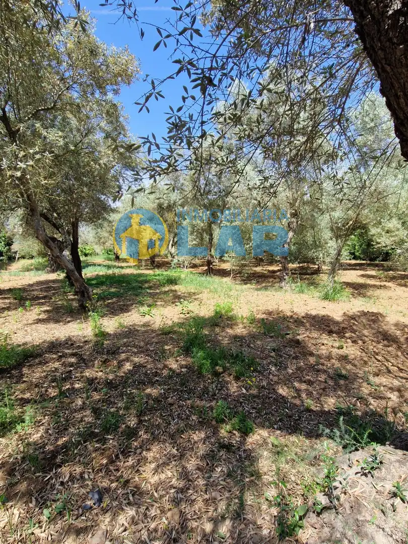 Casa o chalet en venta en Trigueros