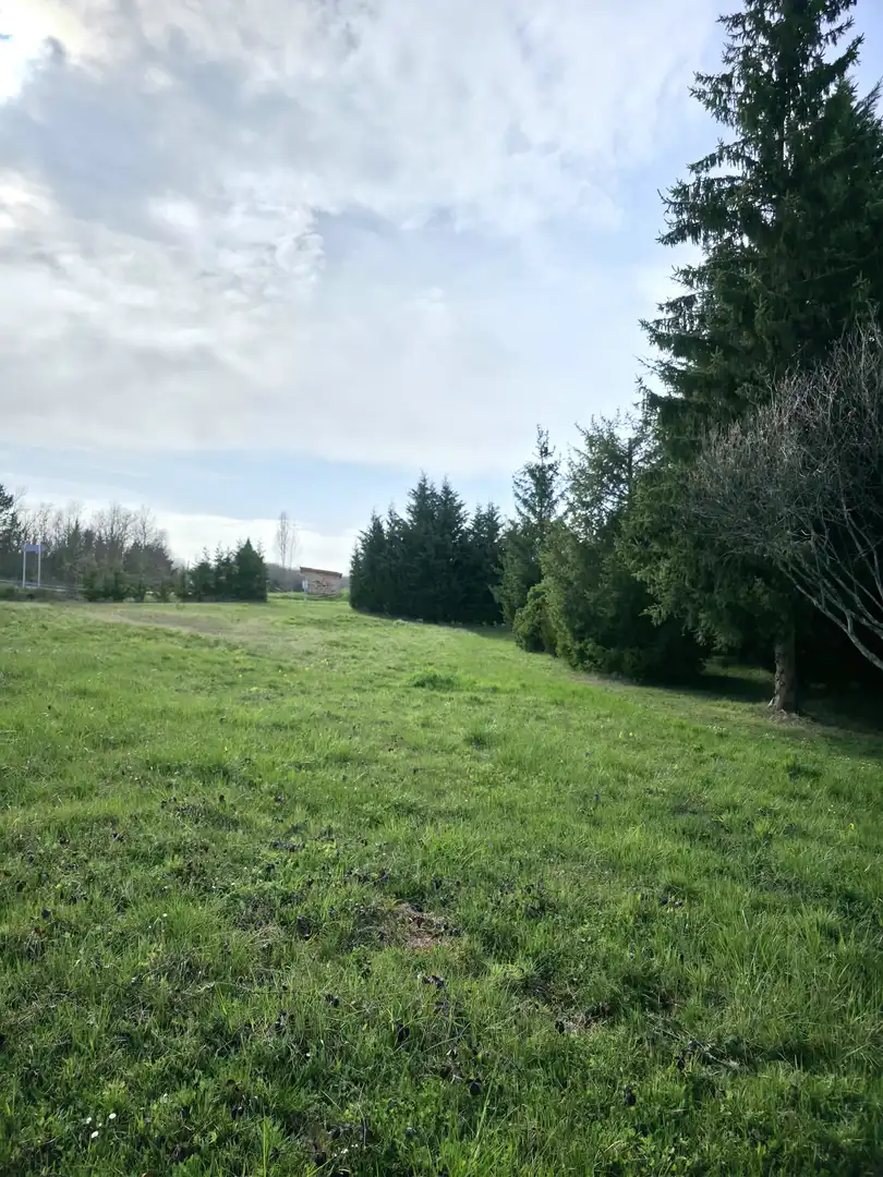 Casa o xalet en venda en Pomar de Valdivia amb Calefacció, Jardí privat i Terrassa