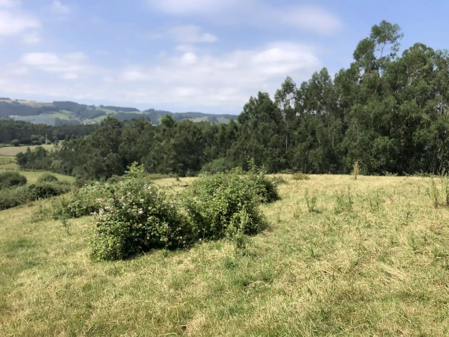 Finca rústica en venta en N/A, -1, Villaescusa (Cantabria)