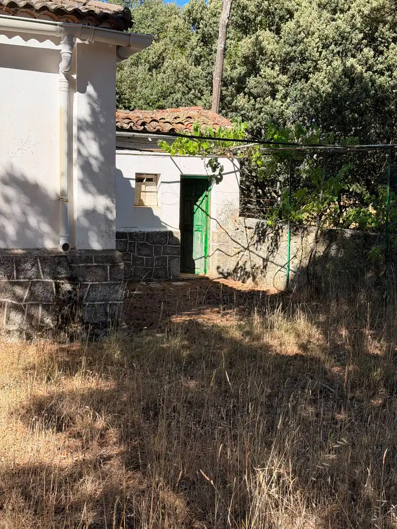 Finca rústica en venta en Muñana