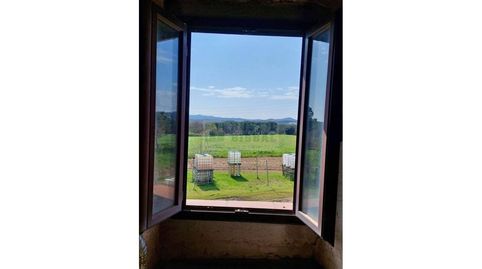 Foto 5 de Finca rústica en venta en Sils, Girona