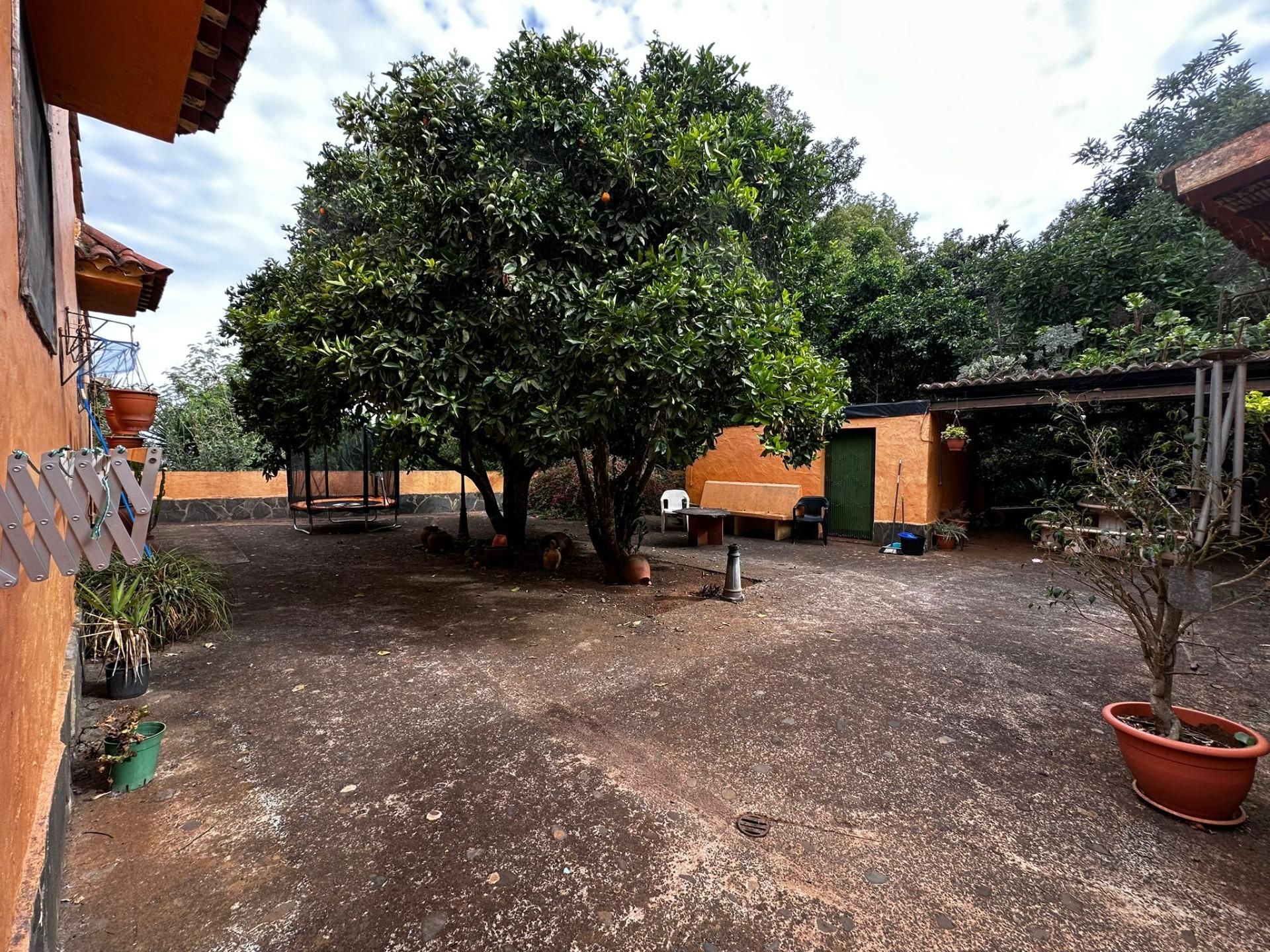 Jardín de Finca rústica en venta en Valleseco con Calefacción, Jardín privado y Terraza