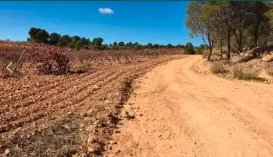 Rustikales Grundstück zum Verkauf in Venta del Moro, imagen 3