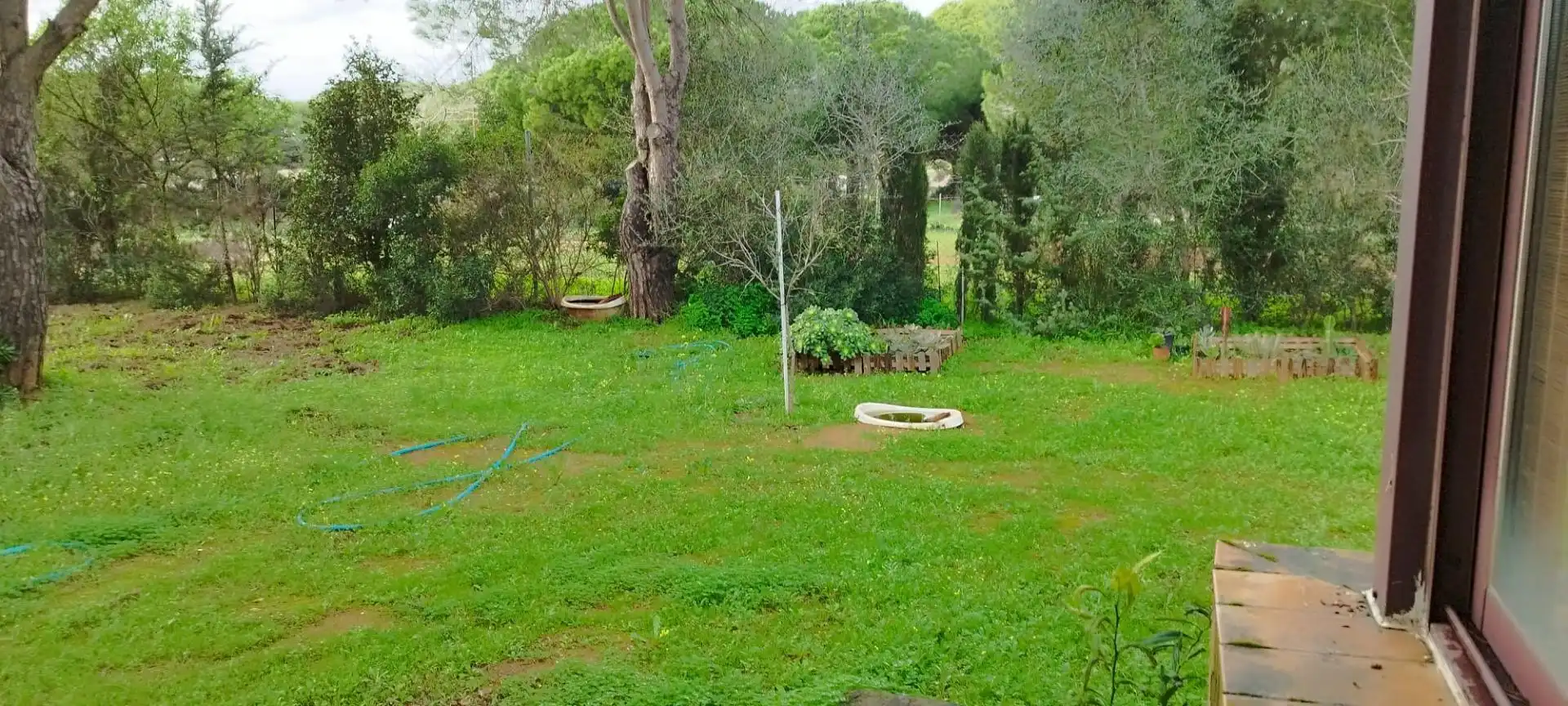 Jardín de Casa o chalet en venta en Puerto Real