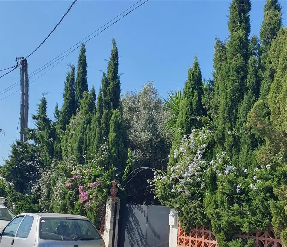Jardí de Casa o xalet en venda en Mont-roig del Camp
