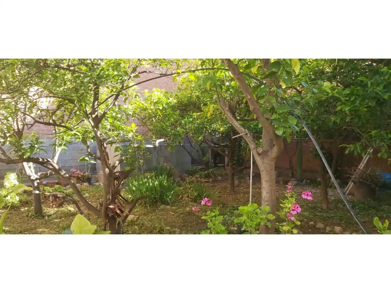 Jardí de Casa o xalet en venda en Alcover amb Jardí privat i Terrassa