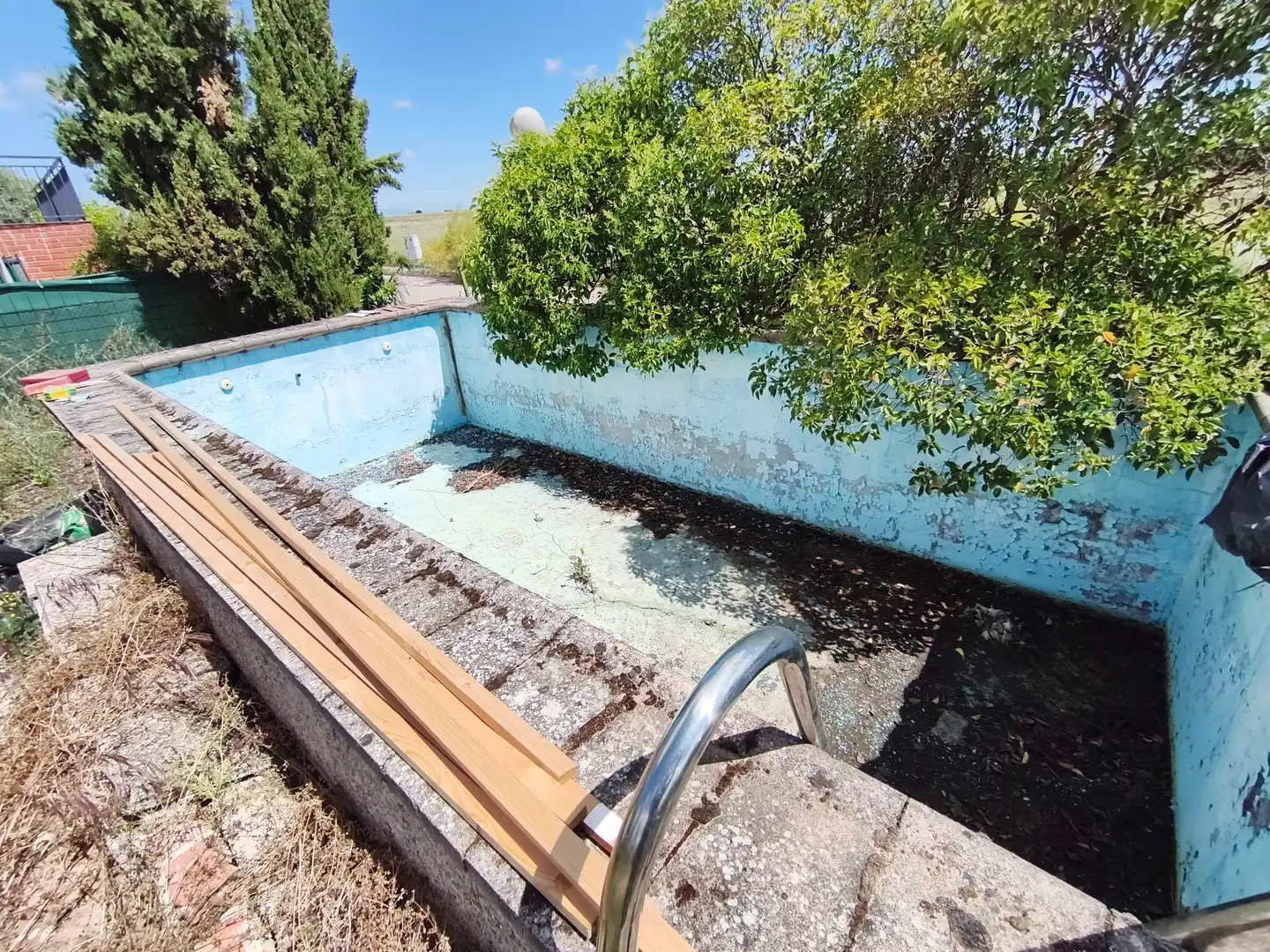 Piscina de Casa o chalet en venta en El Álamo