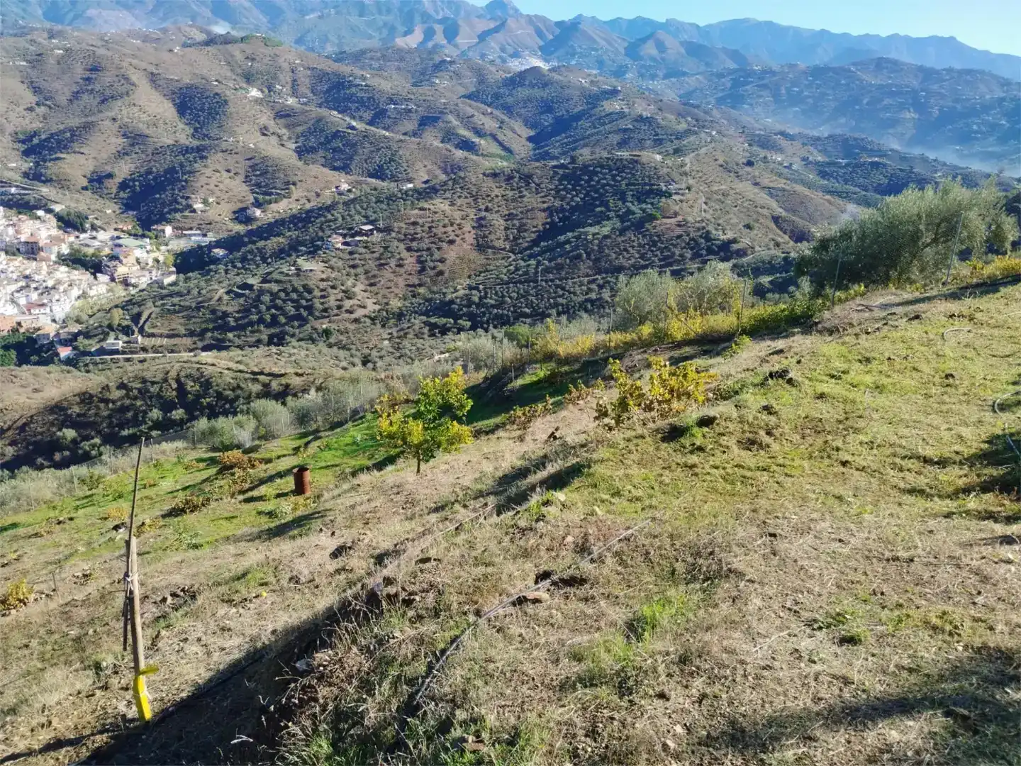 Terreno en venta en Arenas