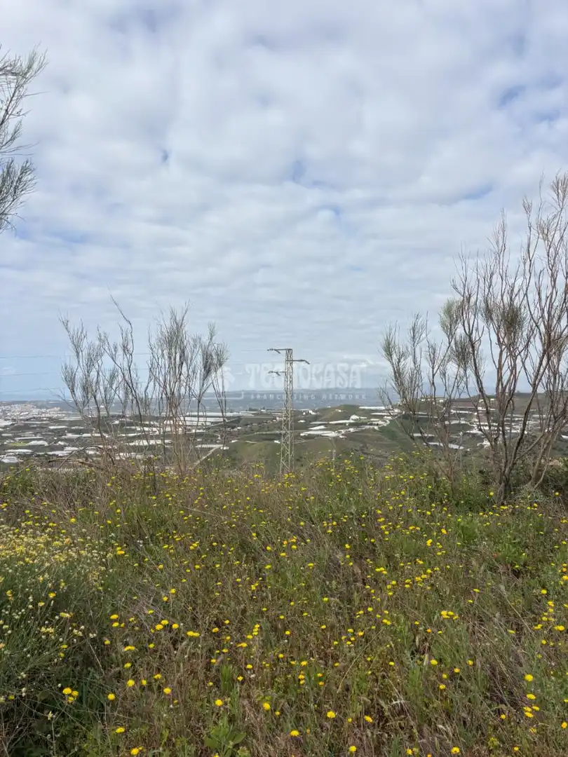 Terreny rústic en venda a Algarrobo pueblo, imagen 2