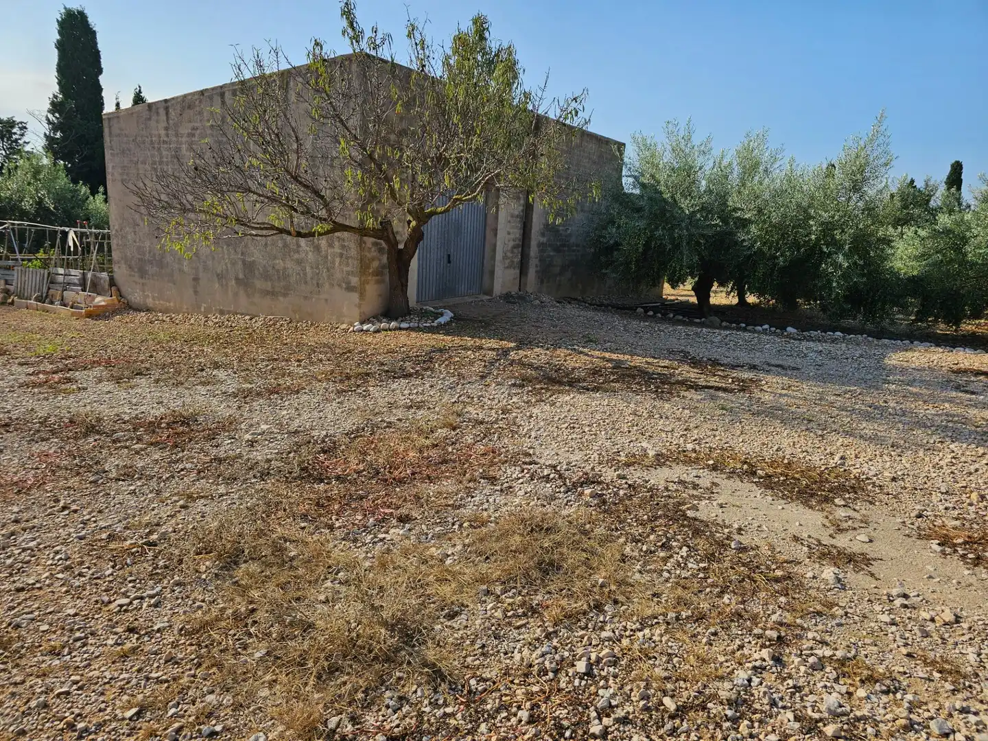 Country house for sale in Alcanar, imagen 18