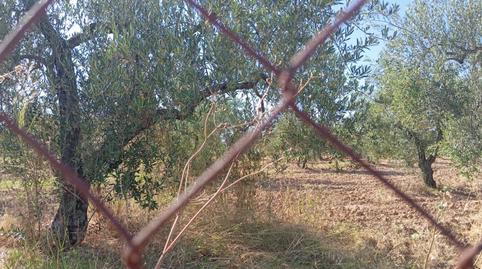 Foto 5 de Residencial en venda a Ramal de Espartinas, Sevilla