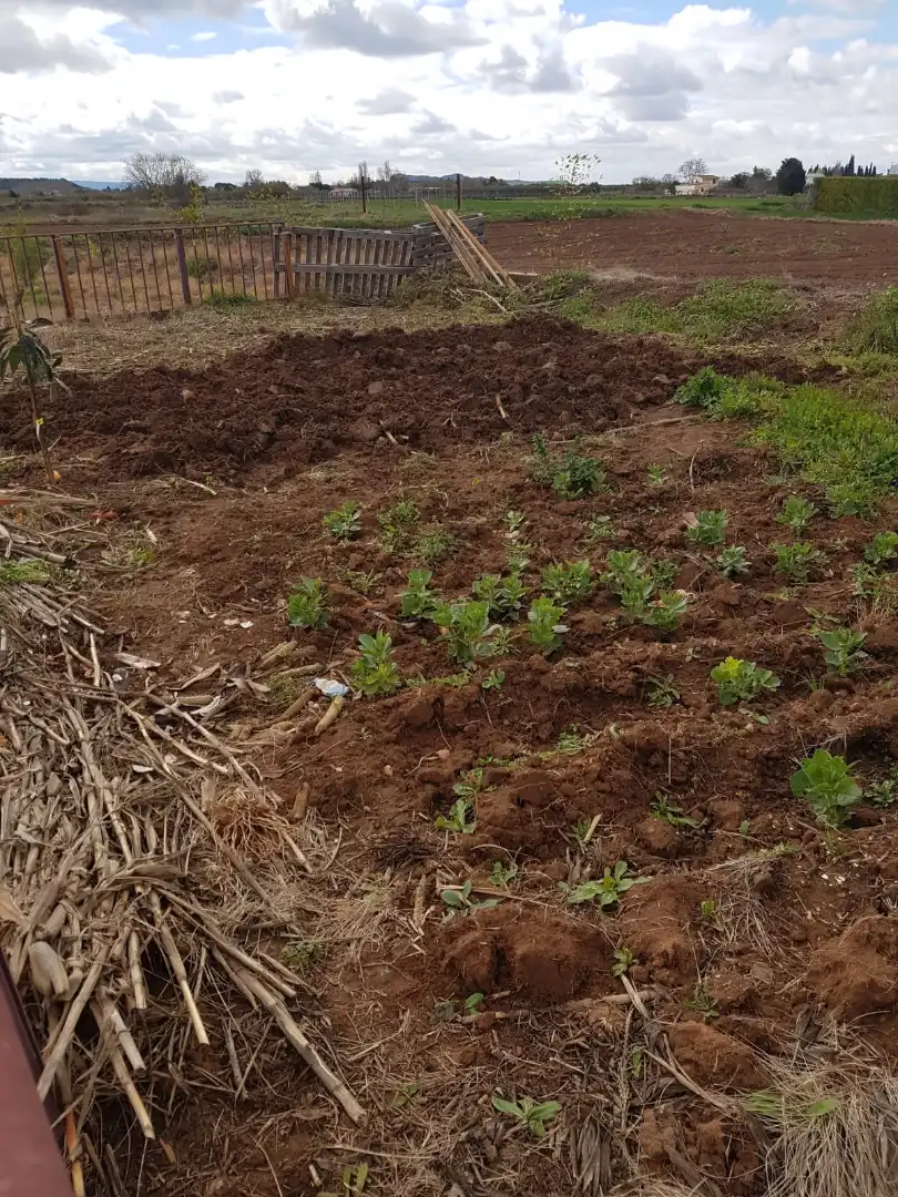 Terreno rústico en venta en Villamediana de Iregua, imagen 10
