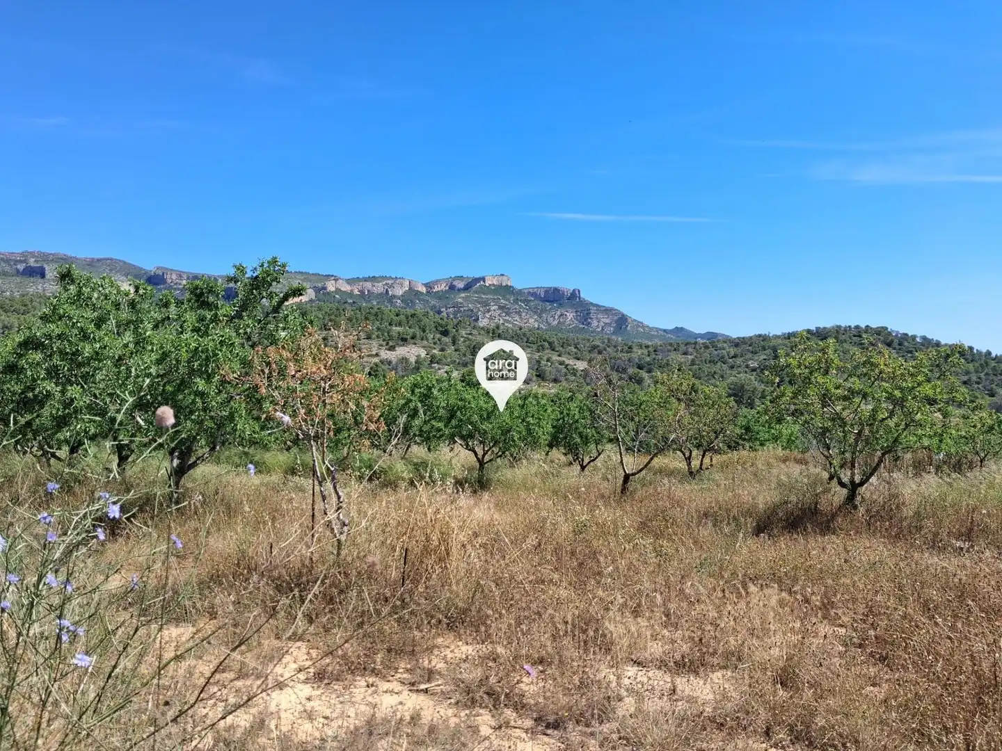 Land for sale in Madrid