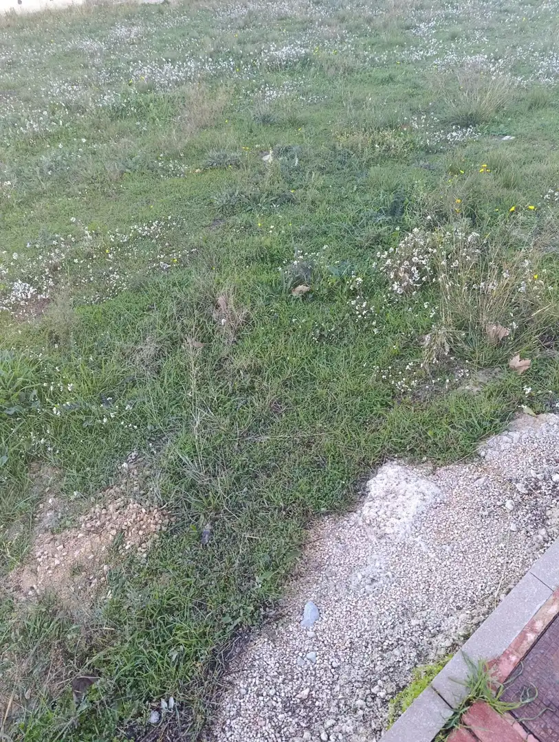 Terreni e lotti in vendita a Bullas, imagen 13