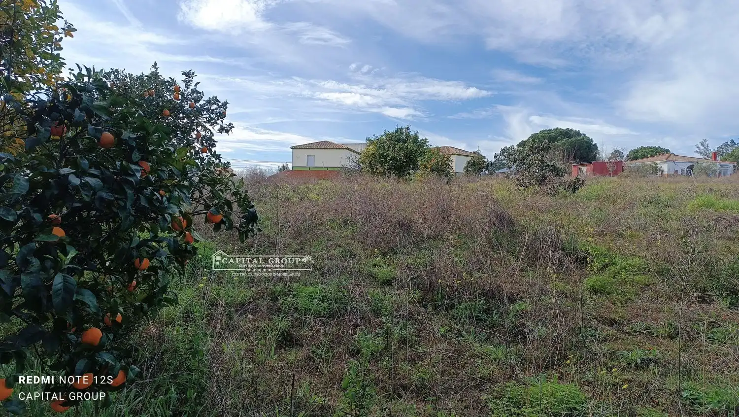 Terrenos y solares en venta en Gibraleón, imagen 26