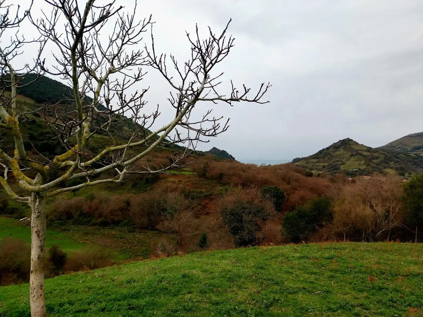 Rural land for sale in Zierbena, imagen 14