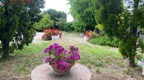 Foto 4 de Casa o xalet en venda a Castro del Río, Córdoba