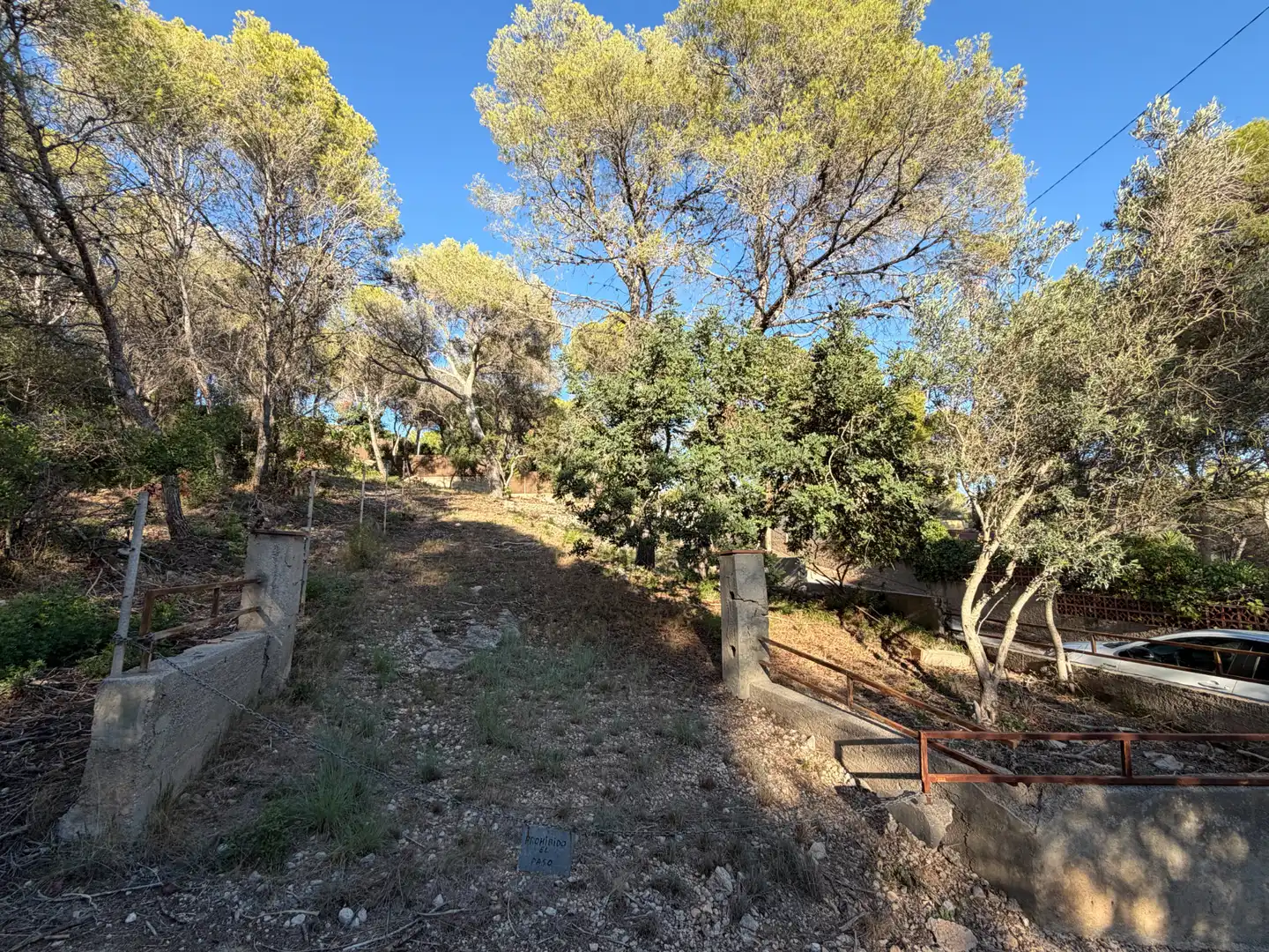 Rustikales Grundstück zum Verkauf in Carrer del Pi Torrat, imagen 2