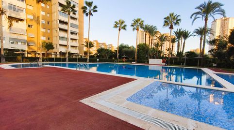 Foto 2 de Piso en venta en Fabraquer, Playa Muchavista, El Campello